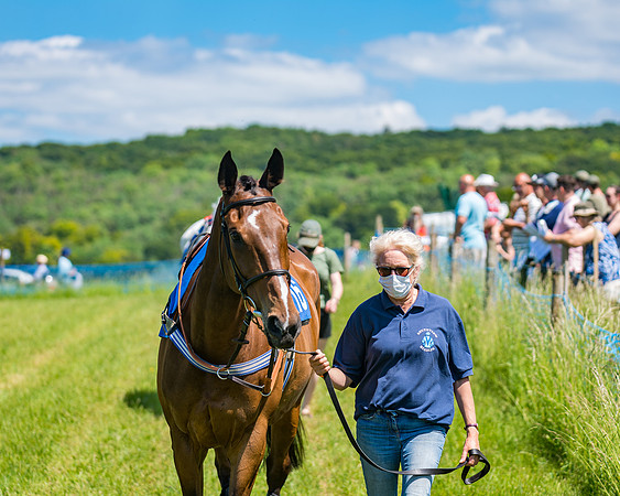 Race 1 - Owner Trainer Conditions  (35 of 190)