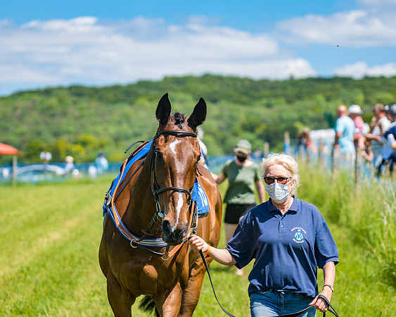 Race 1 - Owner Trainer Conditions  (36 of 190)
