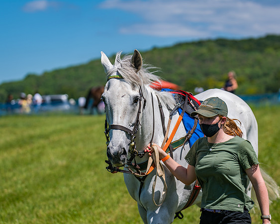 Race 1 - Owner Trainer Conditions  (39 of 190)