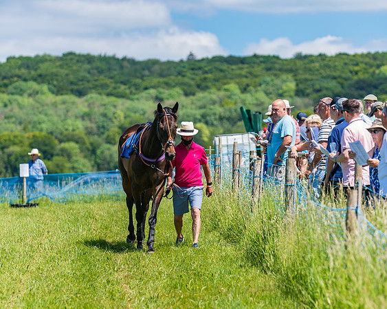 Race 1 - Owner Trainer Conditions  (40 of 190)