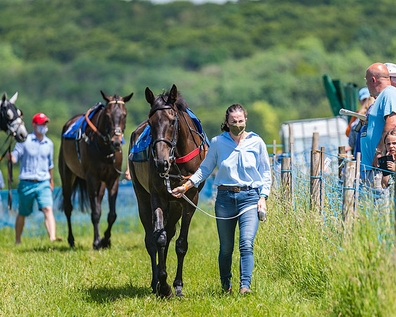 Race 1 - Owner Trainer Conditions  (42 of 190)