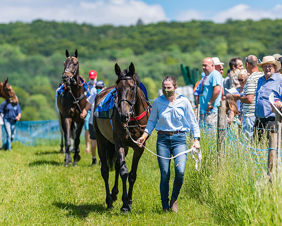 Race 1 - Owner Trainer Conditions  (43 of 190)