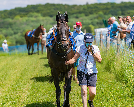 Race 1 - Owner Trainer Conditions  (45 of 190)