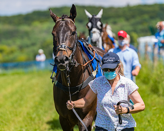 Race 1 - Owner Trainer Conditions  (46 of 190)