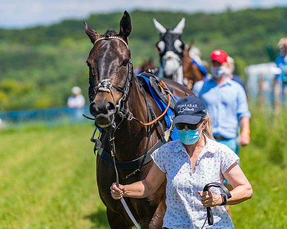 Race 1 - Owner Trainer Conditions  (47 of 190)