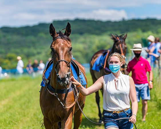Race 1 - Owner Trainer Conditions  (59 of 190)