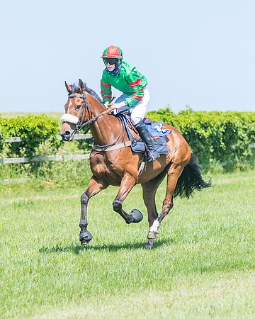 Race 1 - Owner Trainer Conditions  (65 of 190)