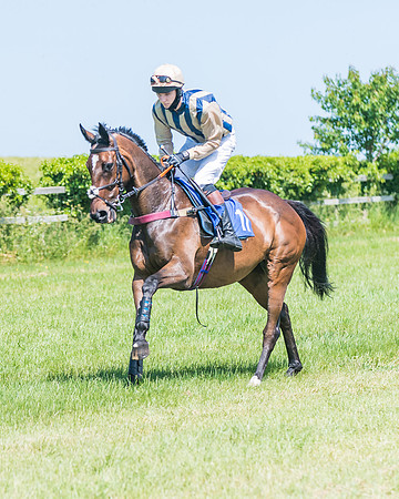 Race 1 - Owner Trainer Conditions  (67 of 190)