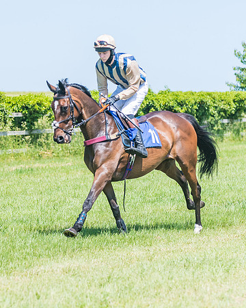 Race 1 - Owner Trainer Conditions  (68 of 190)