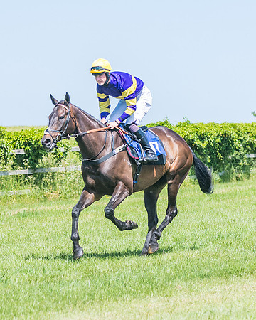 Race 1 - Owner Trainer Conditions  (73 of 190)
