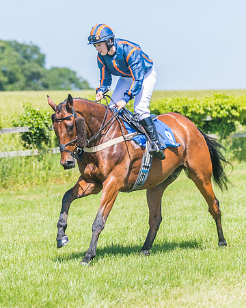 Race 1 - Owner Trainer Conditions  (81 of 190)