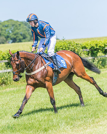 Race 1 - Owner Trainer Conditions  (82 of 190)