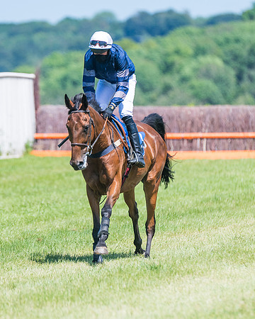 Race 1 - Owner Trainer Conditions  (83 of 190)