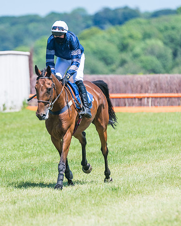 Race 1 - Owner Trainer Conditions  (84 of 190)