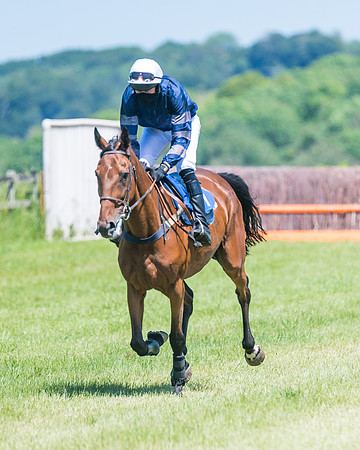 Race 1 - Owner Trainer Conditions  (85 of 190)