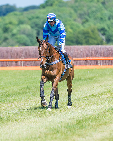 Race 1 - Owner Trainer Conditions  (86 of 190)