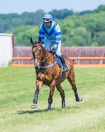 Race 1 - Owner Trainer Conditions  (87 of 190)