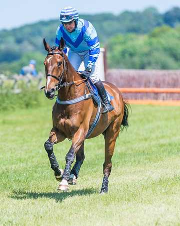 Race 1 - Owner Trainer Conditions  (88 of 190)