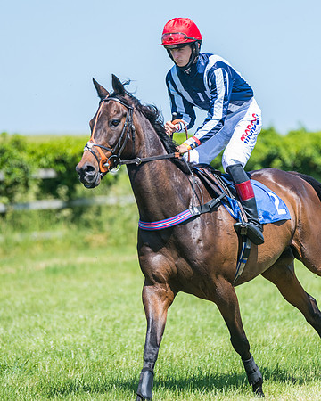 Race 1 - Owner Trainer Conditions  (92 of 190)