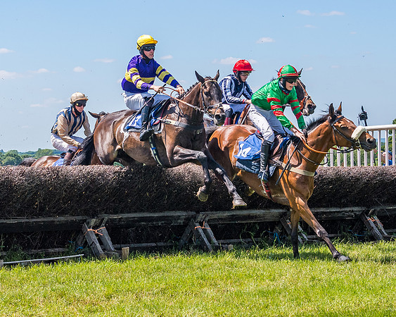 Race 1 - Owner Trainer Conditions  (96 of 190)