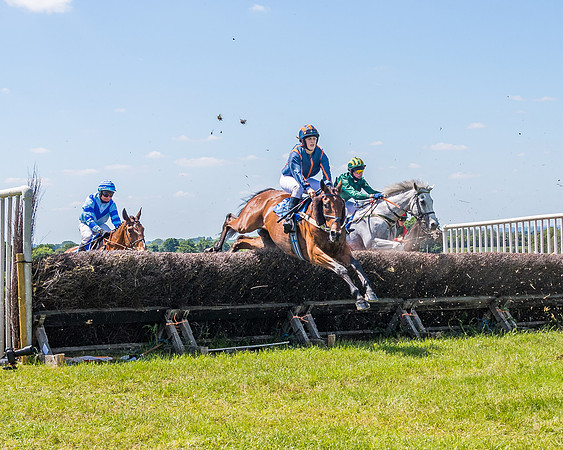 Race 1 - Owner Trainer Conditions  (99 of 190)