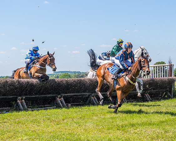 Race 1 - Owner Trainer Conditions  (101 of 190)