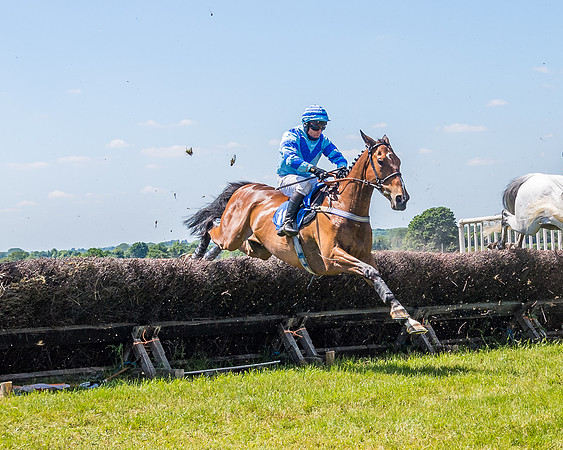 Race 1 - Owner Trainer Conditions  (102 of 190)