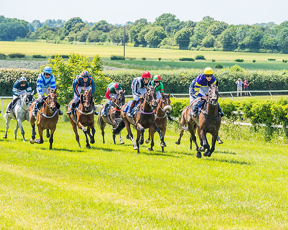 Race 1 - Owner Trainer Conditions  (103 of 190)