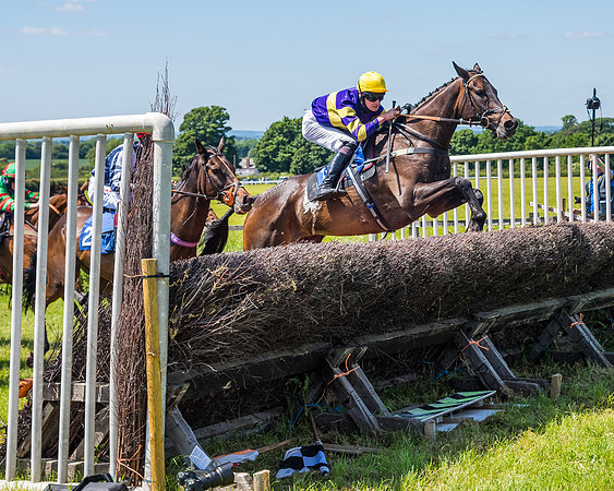 Race 1 - Owner Trainer Conditions  (106 of 190)