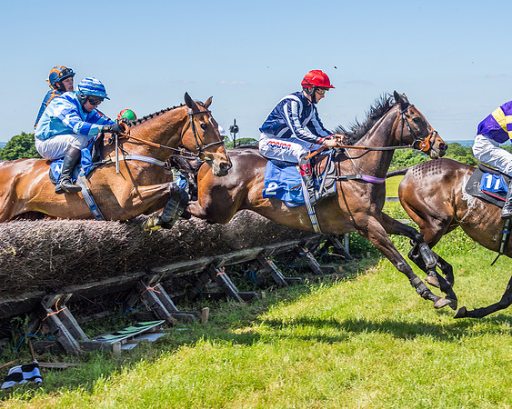 Race 1 - Owner Trainer Conditions  (111 of 190)