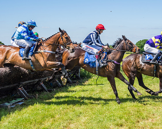 Race 1 - Owner Trainer Conditions  (112 of 190)