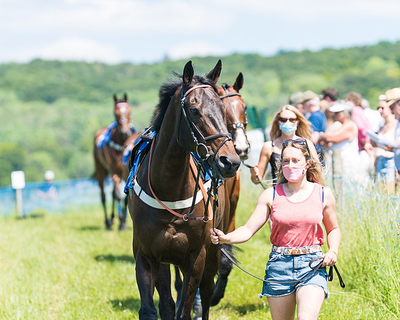 Race 2 - Restricted (1 of 178)