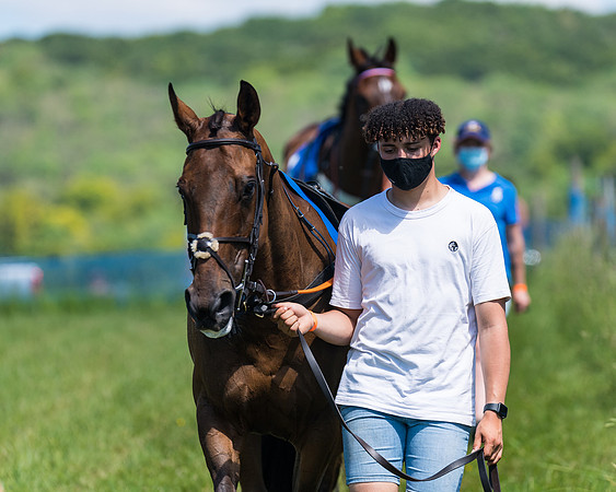 Race 2 - Restricted (13 of 178)