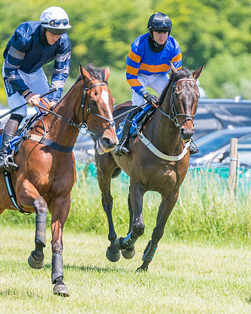 Race 2 - Restricted (46 of 178)