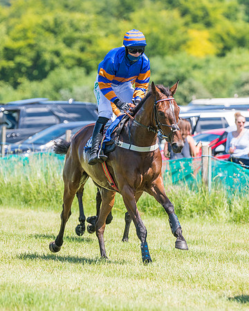 Race 2 - Restricted (48 of 178)