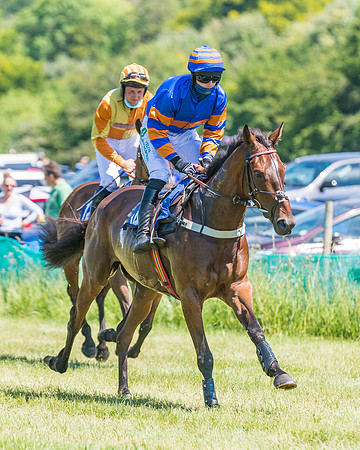 Race 2 - Restricted (50 of 178)