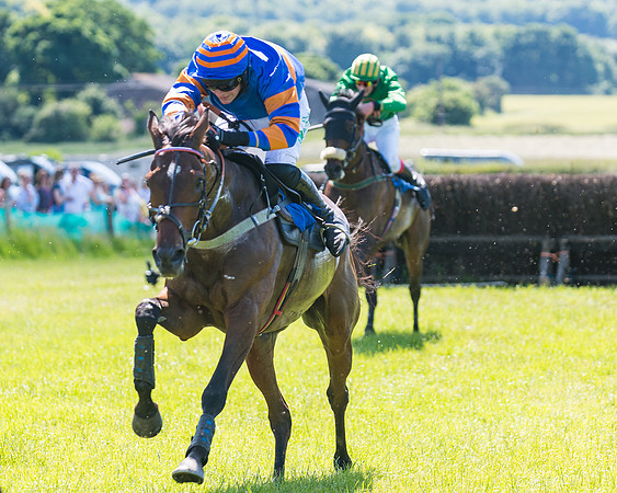 Race 2 - Restricted (137 of 178)