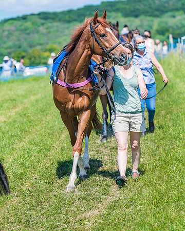 Race 4 -  Ladies Open Race (29 of 410)