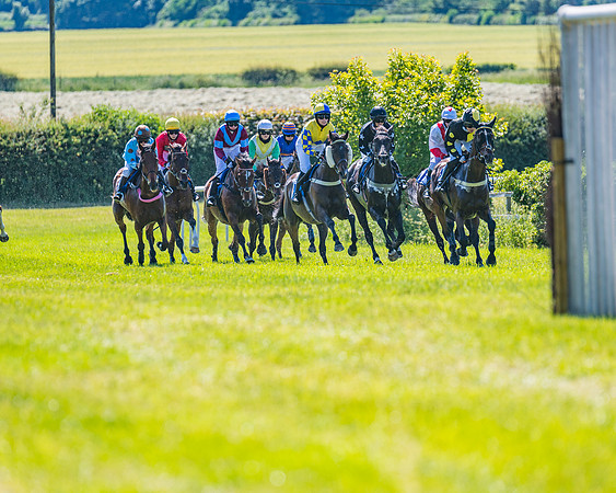Race 4 -  Ladies Open Race (114 of 410)