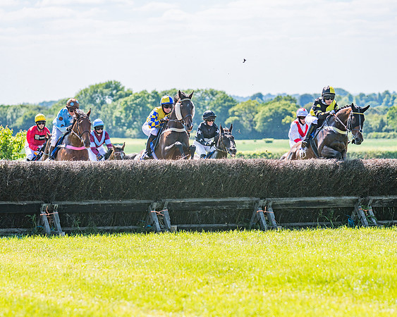 Race 4 -  Ladies Open Race (119 of 410)