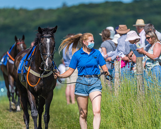 Race 5 - Novice riders (5 of 418)
