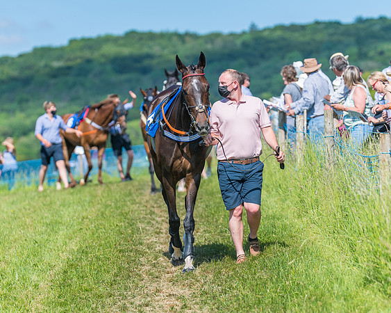 Race 5 - Novice riders (6 of 418)