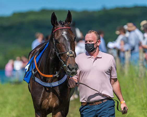 Race 5 - Novice riders (9 of 418)