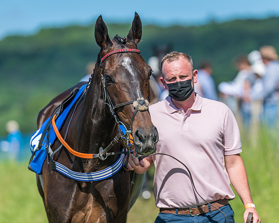 Race 5 - Novice riders (11 of 418)
