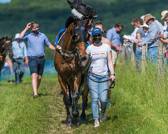 Race 5 - Novice riders (14 of 418)