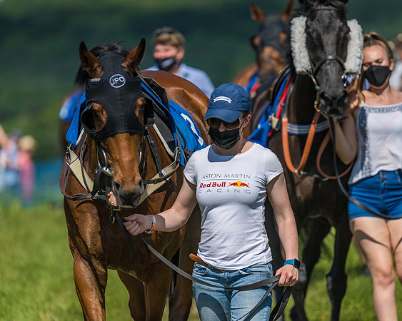 Race 5 - Novice riders (17 of 418)