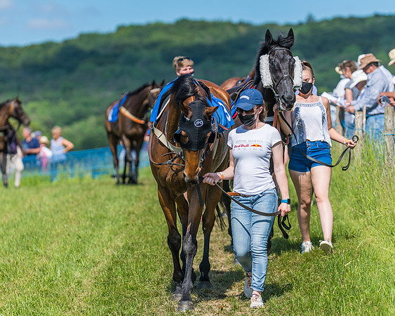 Race 5 - Novice riders (16 of 418)