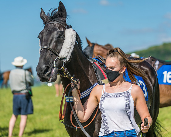 Race 5 - Novice riders (20 of 418)