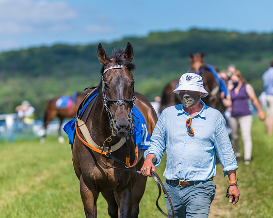 Race 5 - Novice riders (24 of 418)