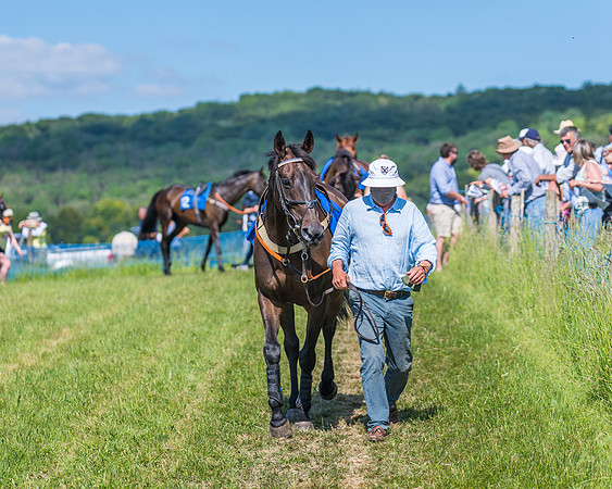Race 5 - Novice riders (23 of 418)